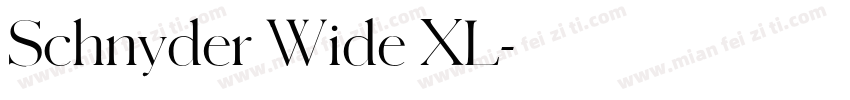 Schnyder Wide XL字体转换
